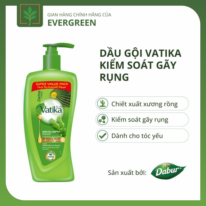 Dau goi Vatika kiem soat gay rung to - tuyển dụng