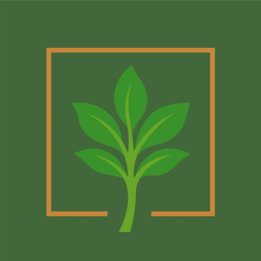 Home 73 Evergreen site logo