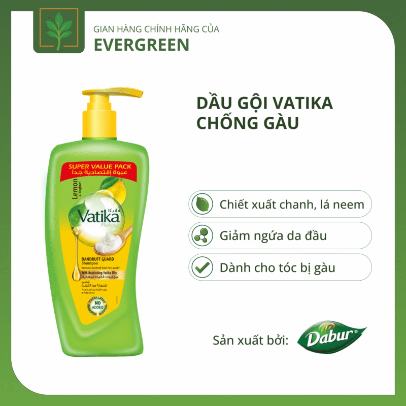 dau goi oliu -