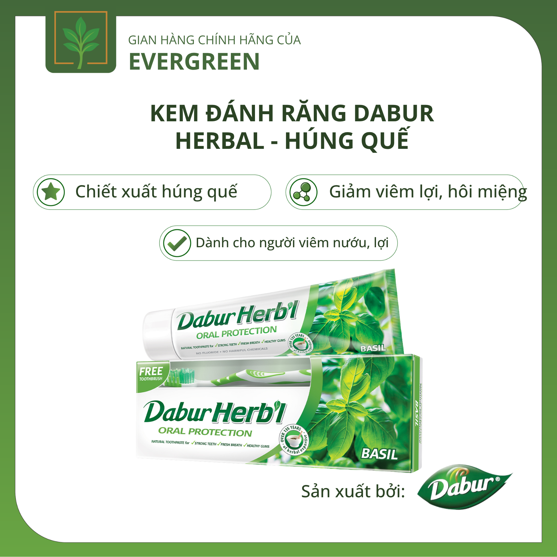 hđr húng quế Kem đánh răng Dabur Herbal - Húng Quế - Ảnh 1