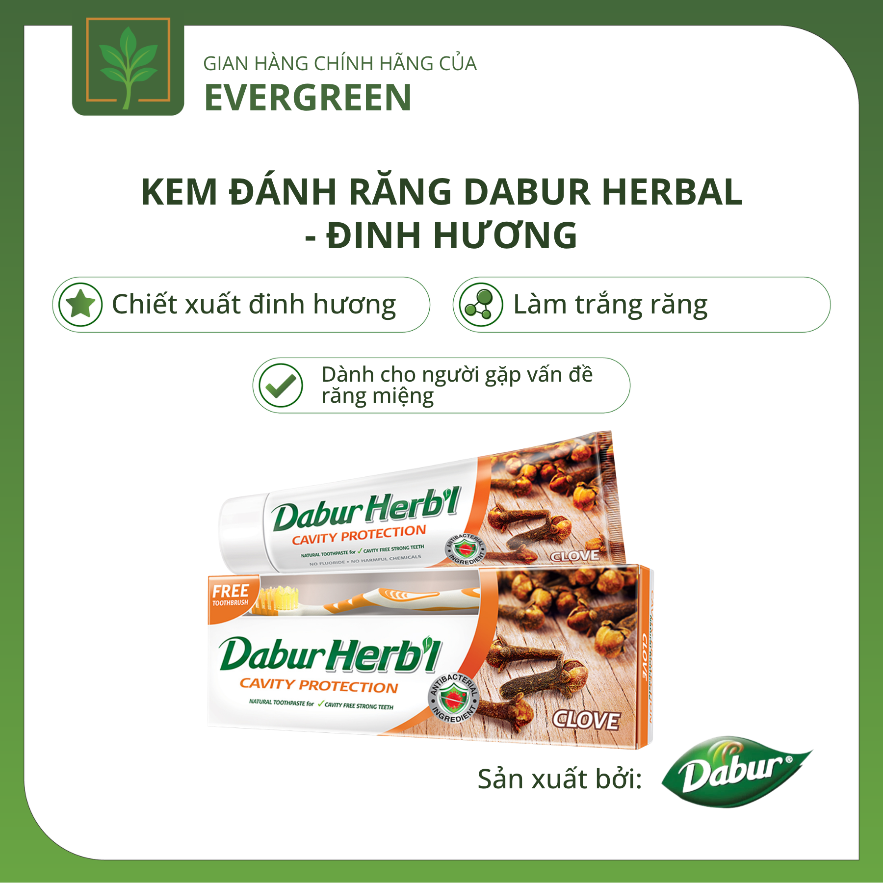 kđr đinnh hương Kem đánh răng Dabur Herbal - Đinh Hương - Ảnh 1