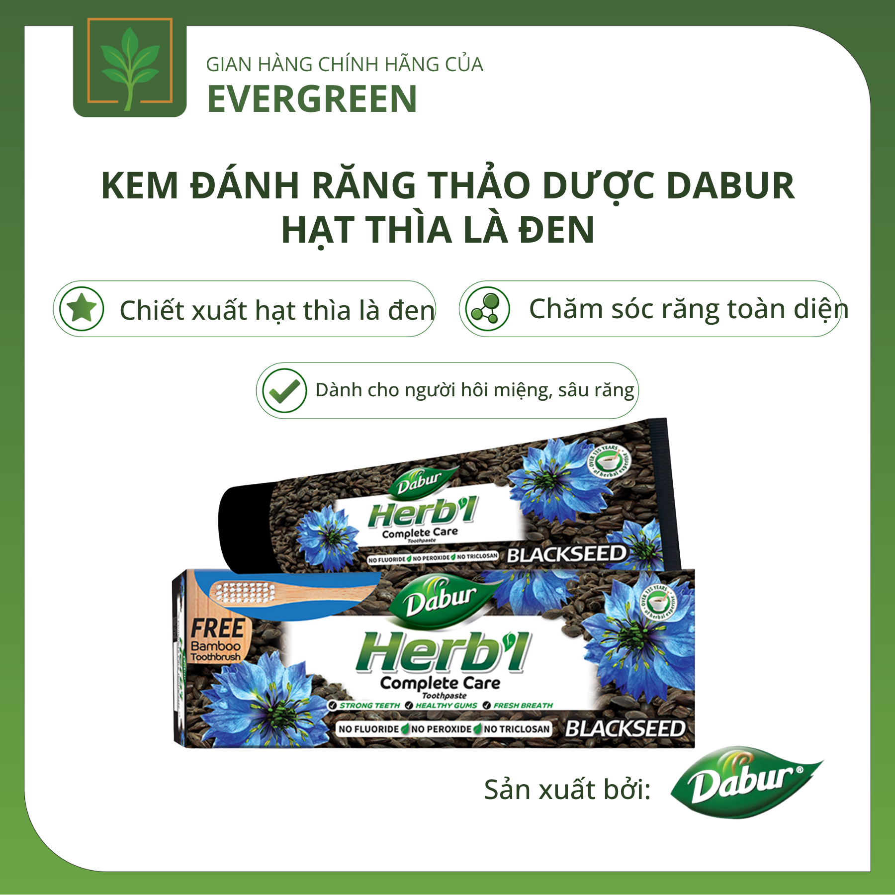 kđr hạt thìa là đen Kem Đánh Răng Thảo Dược Dabur Hạt Thìa Là Đen Chăm Sóc Răng Miệng Toàn Diện - Ảnh 1
