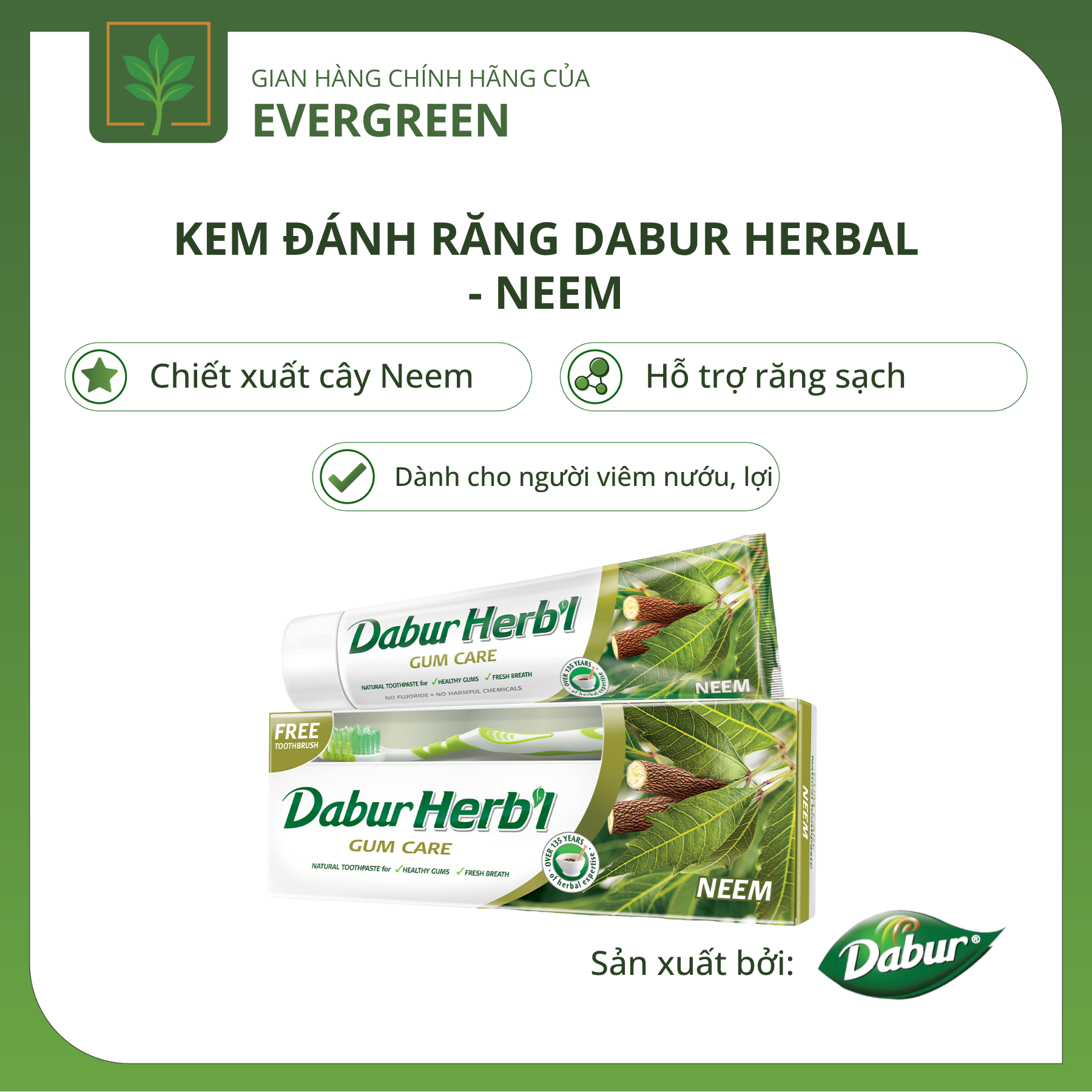 kđr neem Kem đánh răng Dabur Herbal - Neem - Ảnh 1